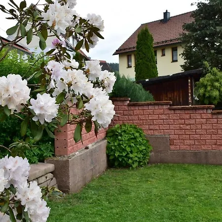 Holiday home Gusti - Perfekt Fuer Ihren Urlaub Im Thueringer Wald Zella-Mehlis