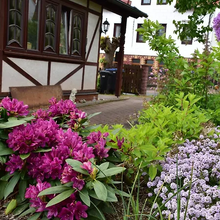 Gusti - Perfekt Für Ihren Urlaub Im Thüringer Wald Ferienhaus Zella-Mehlis