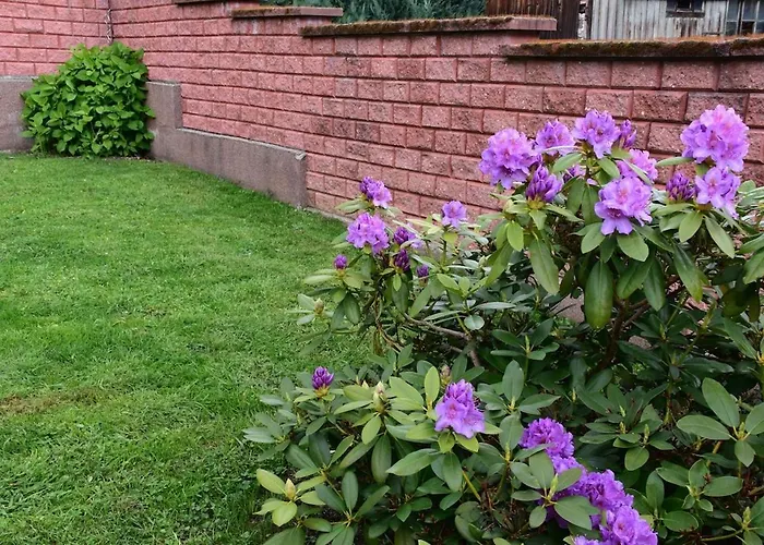 Gusti - Perfekt Fuer Ihren Urlaub Im Thueringer Wald