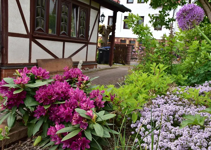 Gusti - Perfekt Fuer Ihren Urlaub Im Thueringer Wald Vakantiehuis Zella-Mehlis